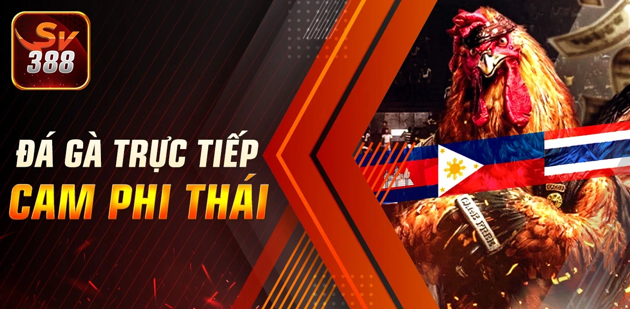 789bet website chính thức - Khám Phá Đấu Trường Gà Trực Tuyến Hấp Dẫn Đến Không Ngờ