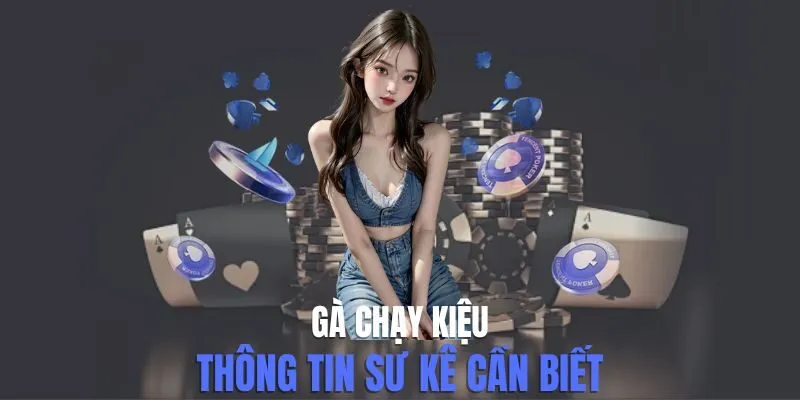 Gà Chạy Kiệu, thông tin sư kê cần biết