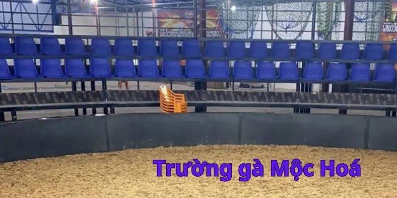 Phân định thắng thua của trường gà Mộc Hóa
